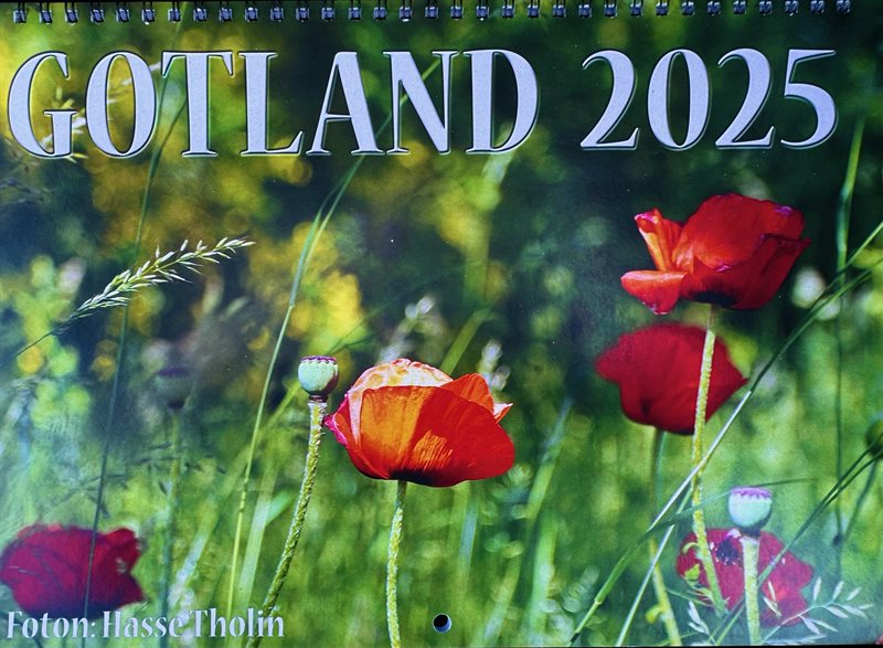 Gotland 2025